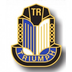 Plaque Emaillée Triumph...