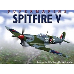 Plaque tôle Spitfire V