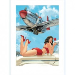 Affiche pin up et P51