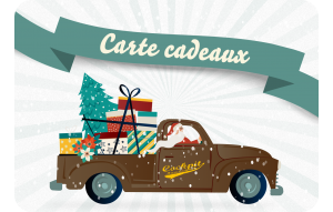 
			                        			Carte cadeaux Noël