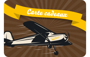 
			                        			Carte cadeaux avion